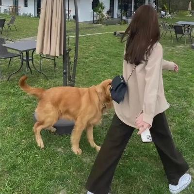 过往